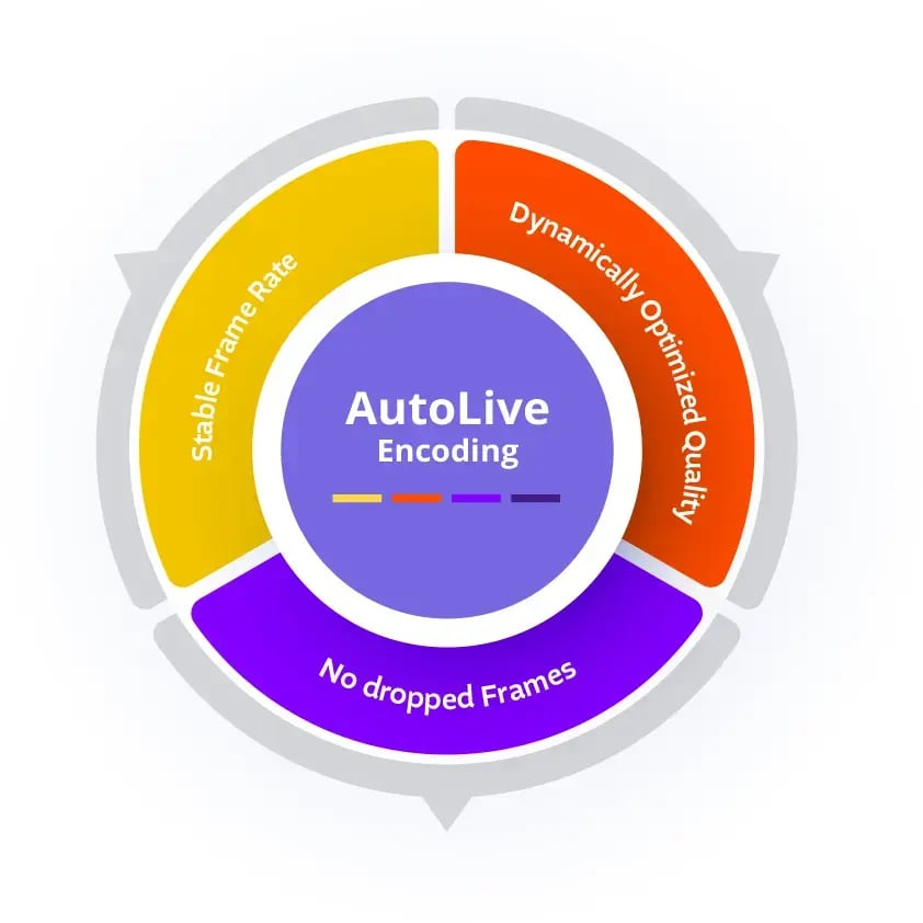 autolive-graphic
